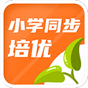 巨星踢法
！15歲道曼vs紐卡集錦	
：多次被放倒+內切射門+一條龍造點